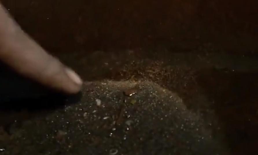 印度街头奇葩淘金人,印度贫民窟发家致富的人