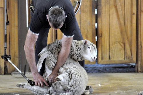 美国是如何剪羊毛的,美国是如何剪世界羊毛的