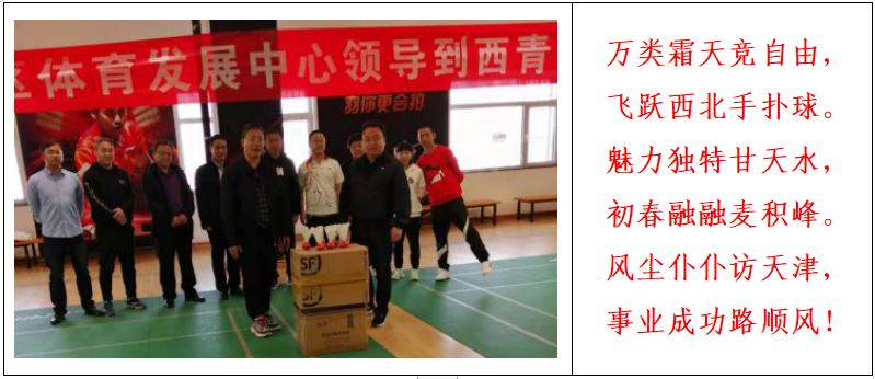 手扑球,手扑球场地图片