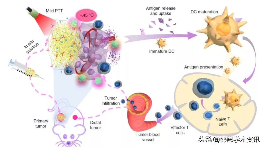 中国药科大学药物治疗学,中国药科大学中药资源与新药开发