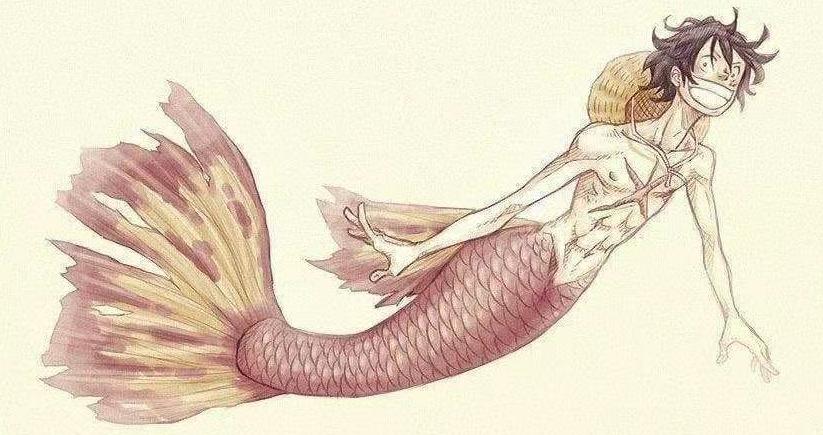 海贼王真人版娜美罗宾,娜美罗宾布鲁克变小