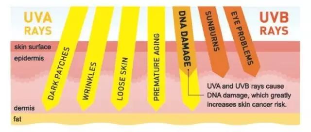 化妆的正确顺序，你应该知道