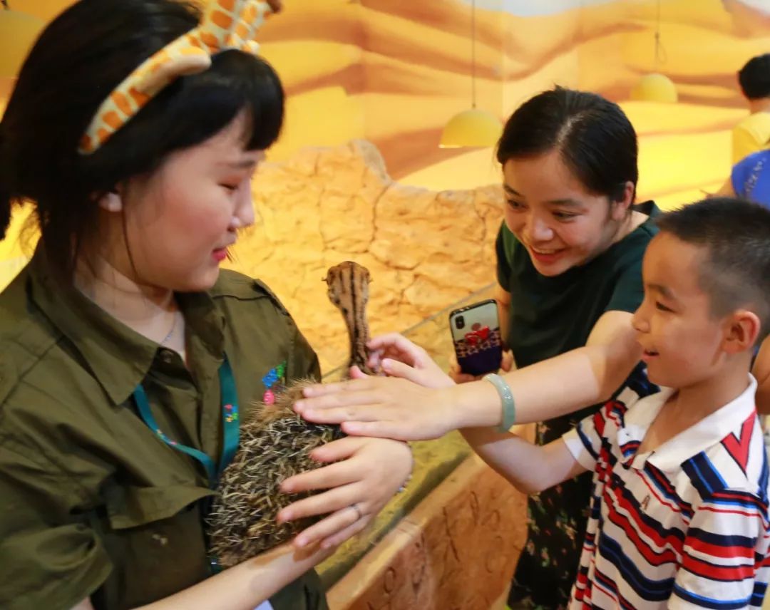 海昌萌宠乐园在几楼,海昌萌宠南通