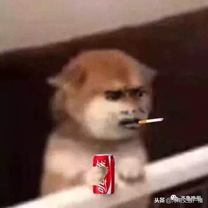 代购逃税处罚,代购逃税300万终审获刑10年