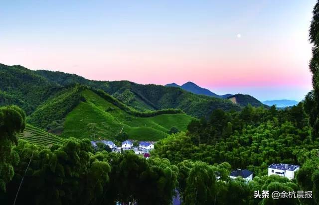 一位老党员靠捡物品捐款,七旬老党员捐献遗体上交最后一笔