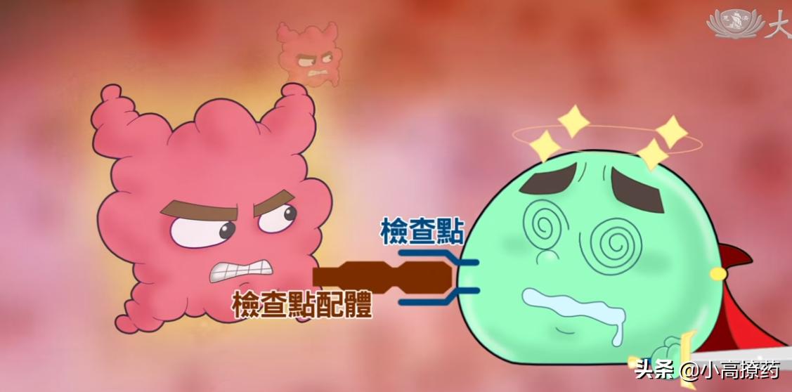 专家科普中医治疗癌症的七大禁忌,癌症必须知道的10个知识