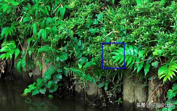 尼康和佳能全画幅怎么选,尼康18-135全画幅