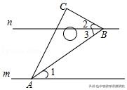 中考热点:平行线联袂三角板问题,精彩不容错过