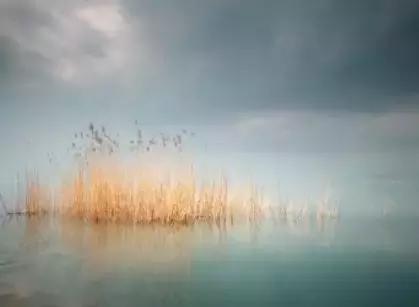 富有人生哲理的短文阅读,影响一生的100个哲理故事有哪些