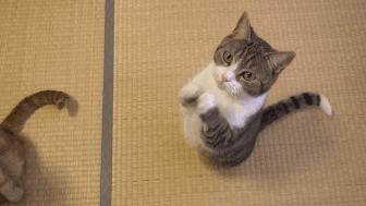 海鲜加工青岛什么鱼清蒸好吃,晒干日照海鲜正宗做法