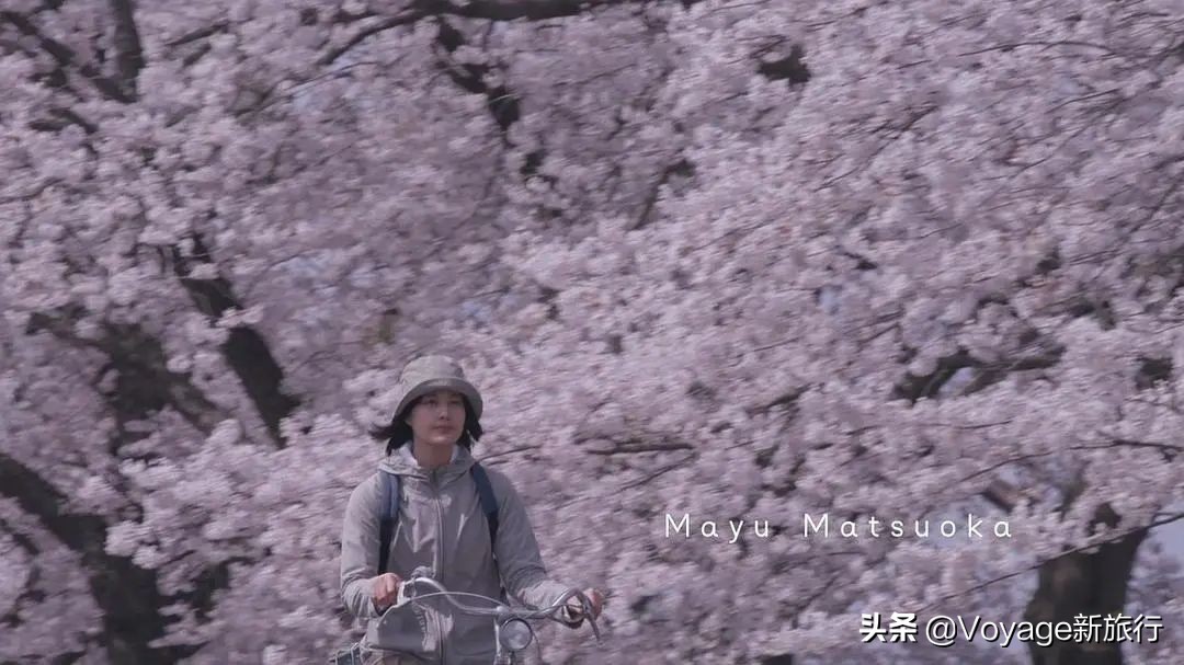 她们说，这次的女王节可以买到最想去的“目的地”