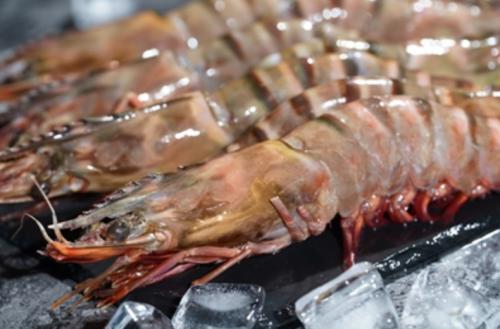 “商品博物馆”上线多点APP今年进博会同款的火腿肉提前买起来