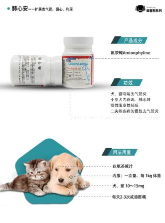 狗狗得支气管炎是什么原因,狗狗为什么会引起支气管炎