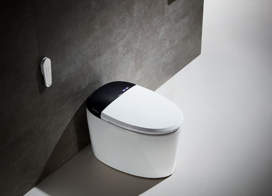 最大智能马桶代工厂,智能马桶工厂现状