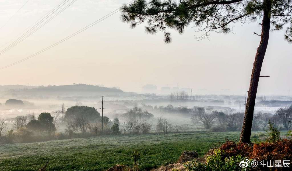 斗山矮脚雾是什么雾,无锡斗山12月能看到矮脚雾吗