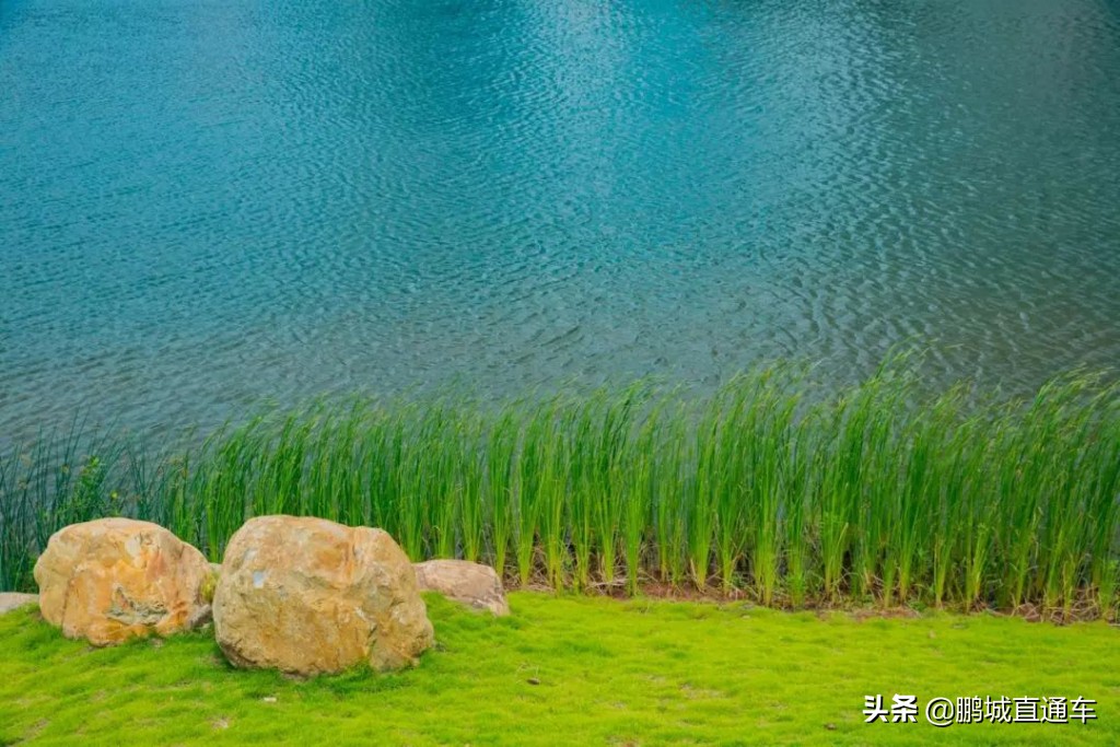 深圳小众主题公园免费,深圳所有景区