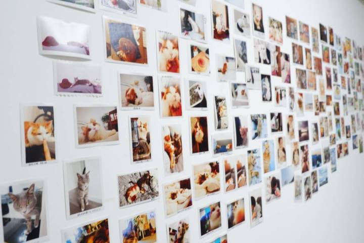 成都最吸引人的方面,成都最让你心动的地方