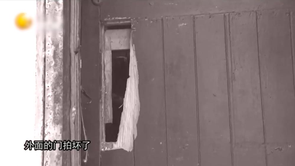 儿子炒股亏损80万,儿子炒股失败后失踪母亲赚钱还债