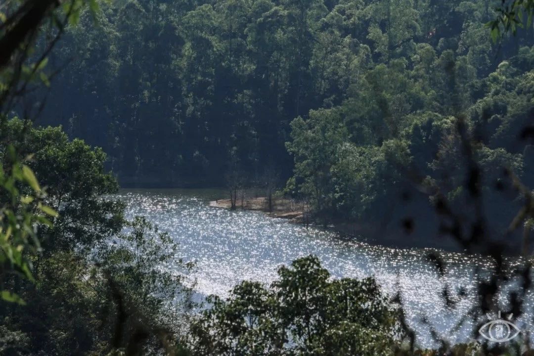 深圳免费一日游好去处推荐,深圳一日游好去处推荐老人