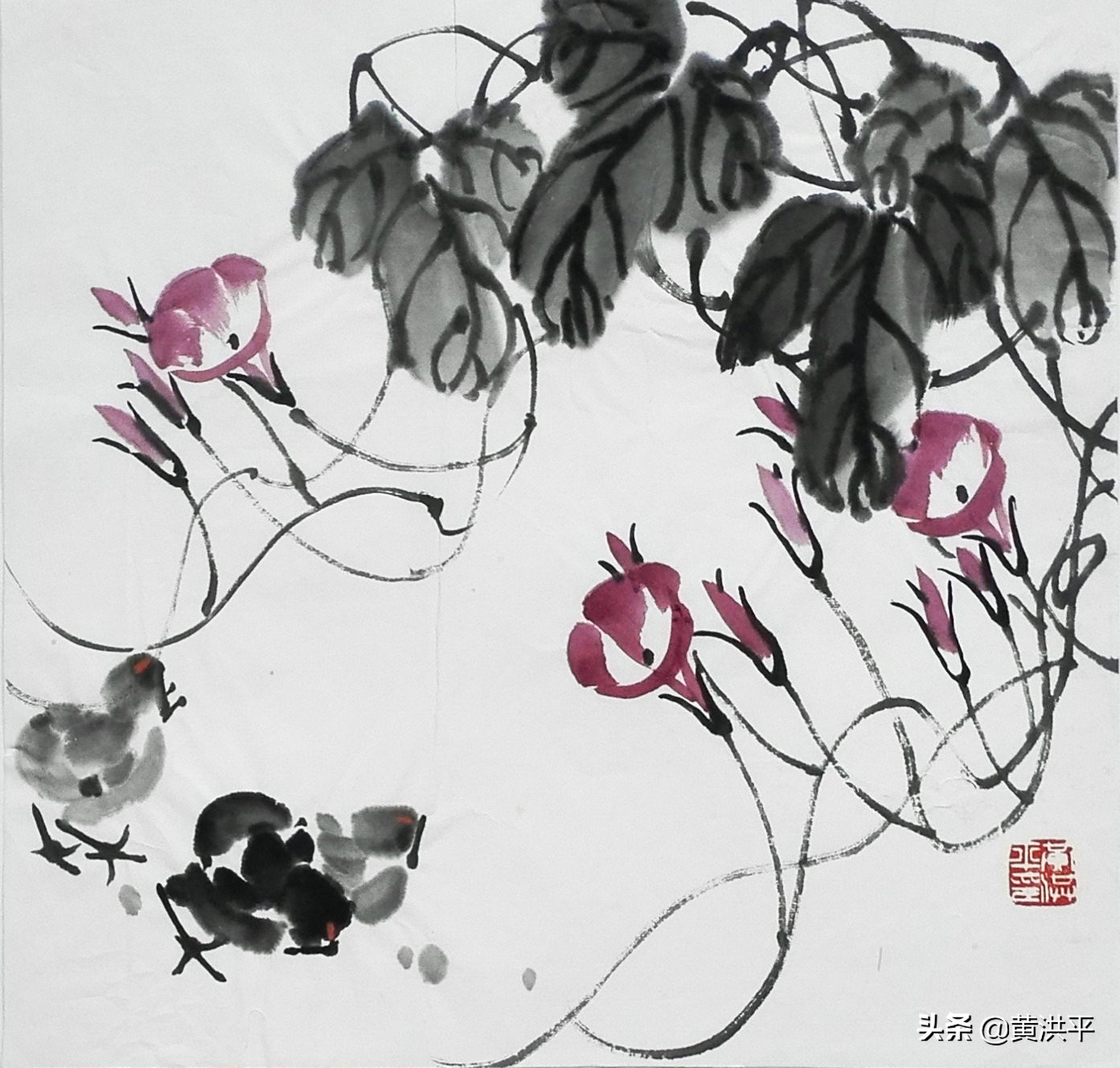 牵牛花柔弱还是脆弱,盛开的牵牛花