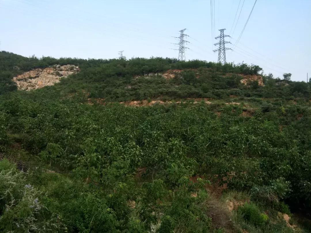 井陉县创业代理,井陉县加盟项目