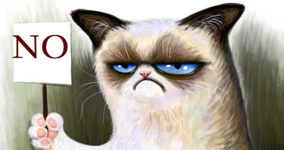 你认为猫咪可爱的表现,你认为猫咪丑到什么程度