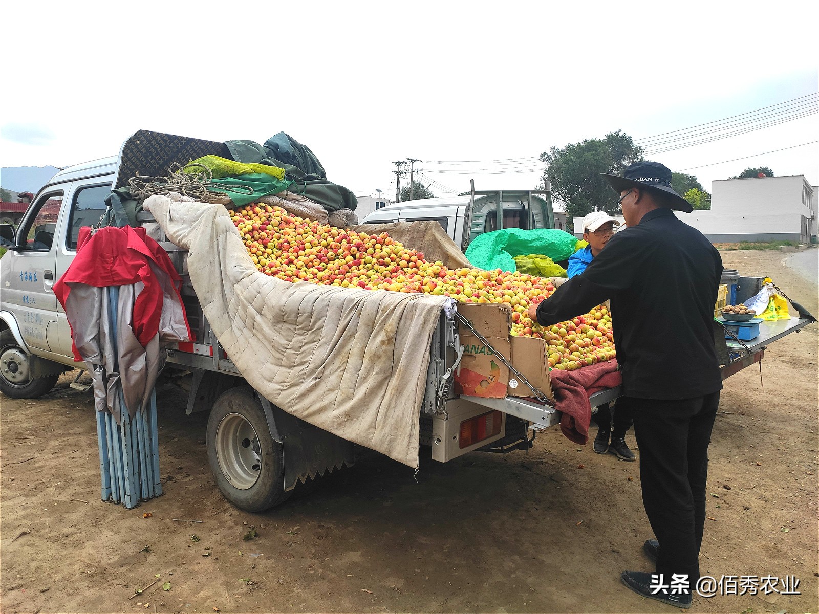 路边的水果摊可信吗,路边上的水果摊