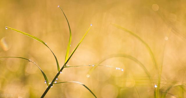 房子还在合同期内，房东突然说要涨房租，民法典教你怎么办