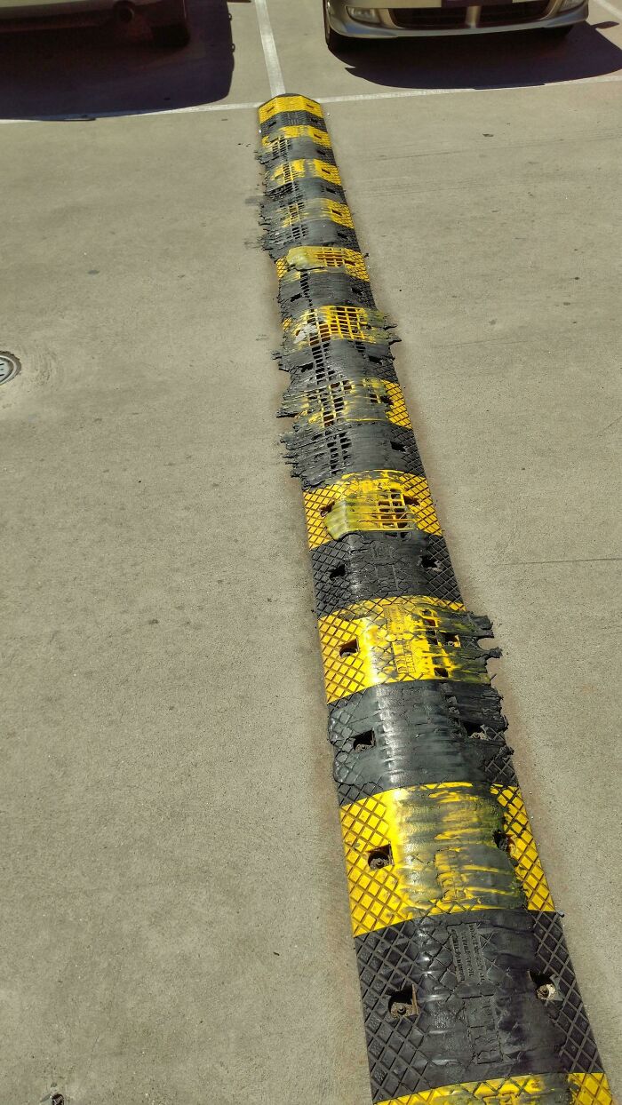 跟夏天很热有关的照片,一张照片告诉我们什么是夏天