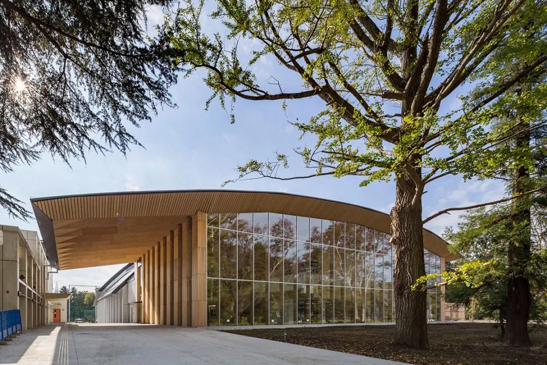 什么是lvl板材,lv材料介绍