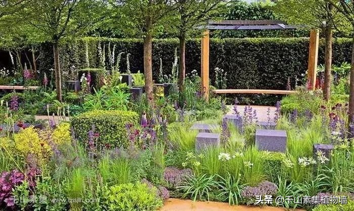 园艺康复疗法介绍,园艺疗法的现状