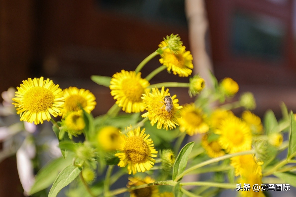 佳能eosr6详细参数曝光诚意满满,佳能发布新eosr6全画幅相机