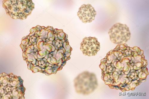 猫咪身体发热呕吐,猫咪身体很热又拉肚子