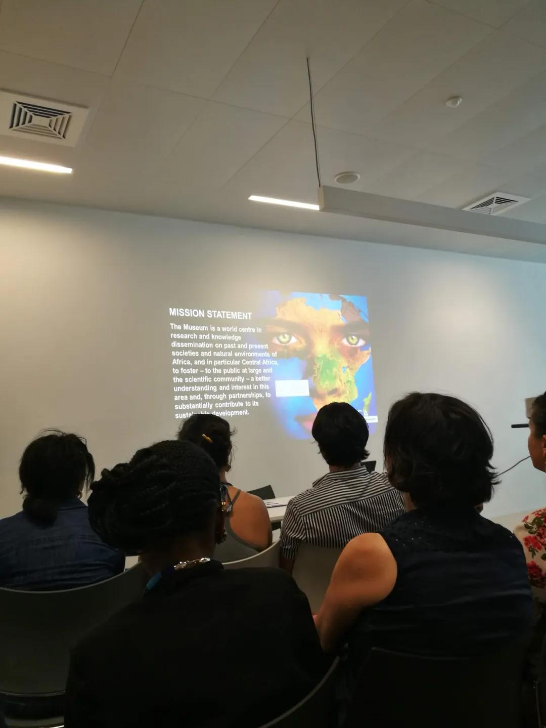 比利时和刚果国王,比利时和刚果自由邦