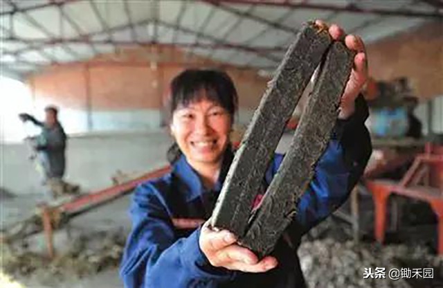 农民把玉米芯变废为宝,农作物秸秆就能变废为宝