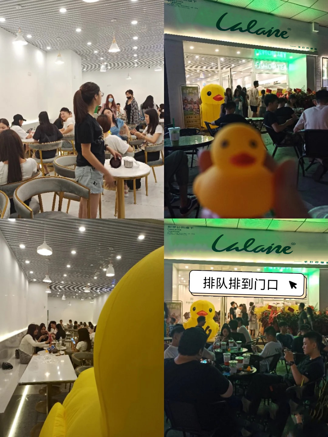 免费教你新手如何开奶茶店,开店全攻略开奶茶店流程汇总