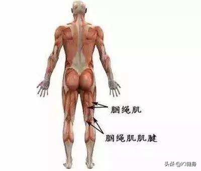 膝关节伸不直解决方法,膝关节置换后腿伸不直