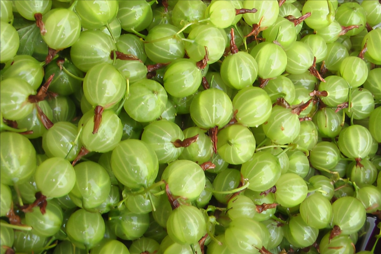 像灯笼果的野果叫什么,野果红灯笼果纯天然