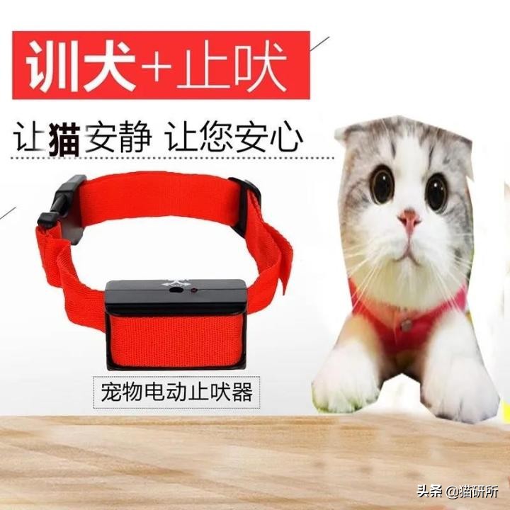 猫咪项圈对人有没有危害,猫咪项圈对猫咪有危害吗