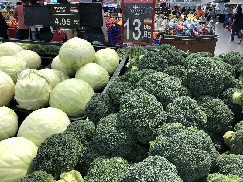 迪拜生活真实工资,在迪拜怎么降低生活成本