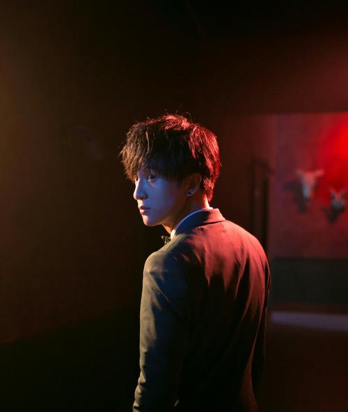 华语乐坛最具影响力的歌手鹿晗,鹿晗歌曲十佳歌手