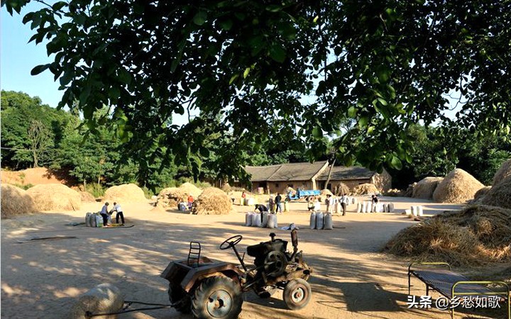 八十年代那年初夏，一只咸鸡蛋温暖一家人