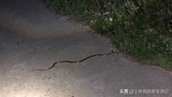 花鸟岛超详细旅游攻略,花鸟岛海岛旅行