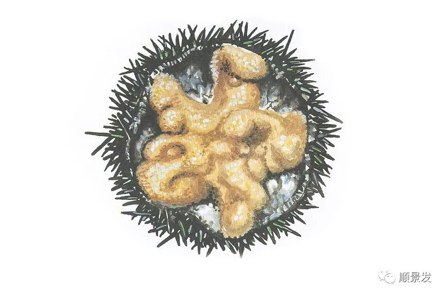 挪威和中国签订协议,挪威希望与中国加强合作