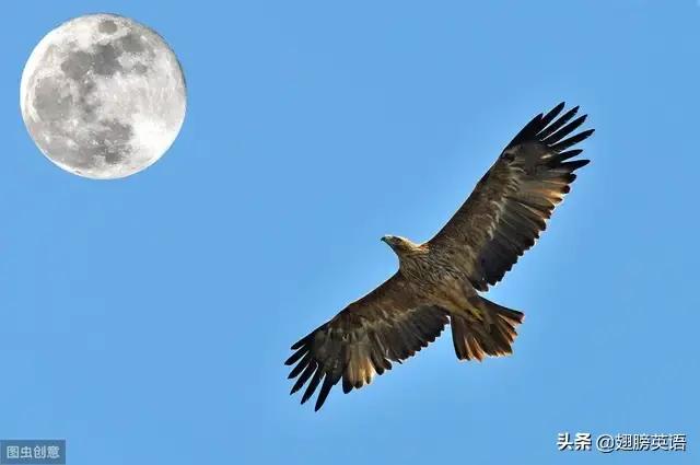 蹦迪口语嗨起来,课堂口语练习