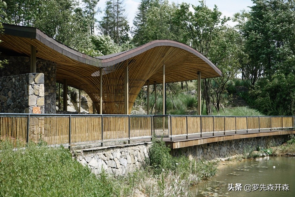 武隆归原小镇茶亭村,武隆归原小镇凤鸣谷星空露营