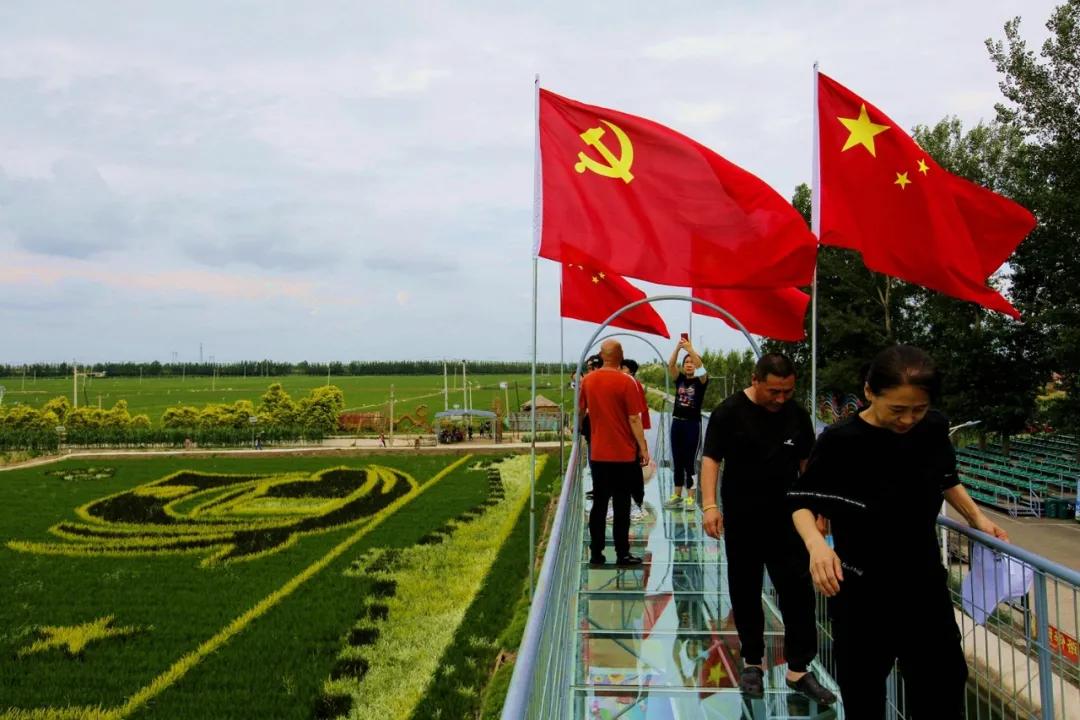 津门网金熙男:最美的稻田