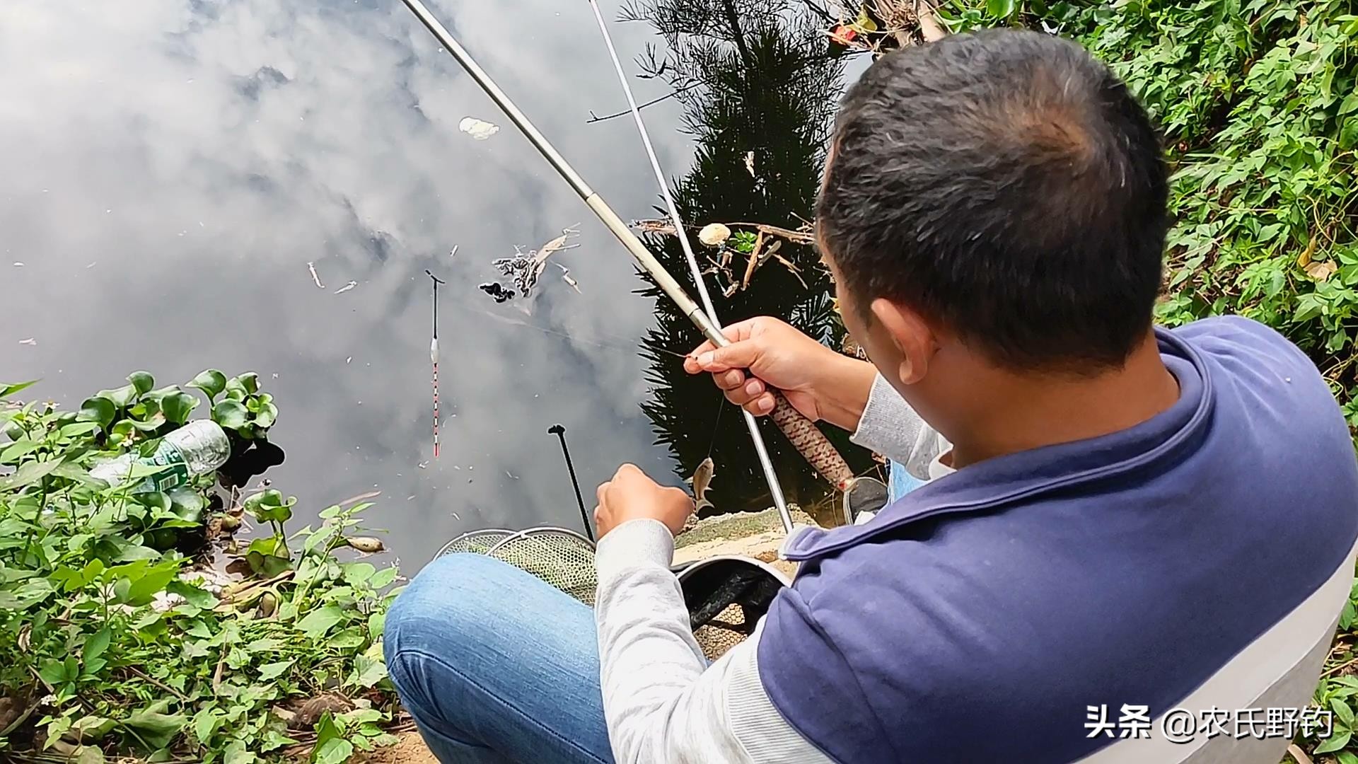 手竿钓白条最快的方法看一遍就会,急流手竿钓白条最正确的方法视频