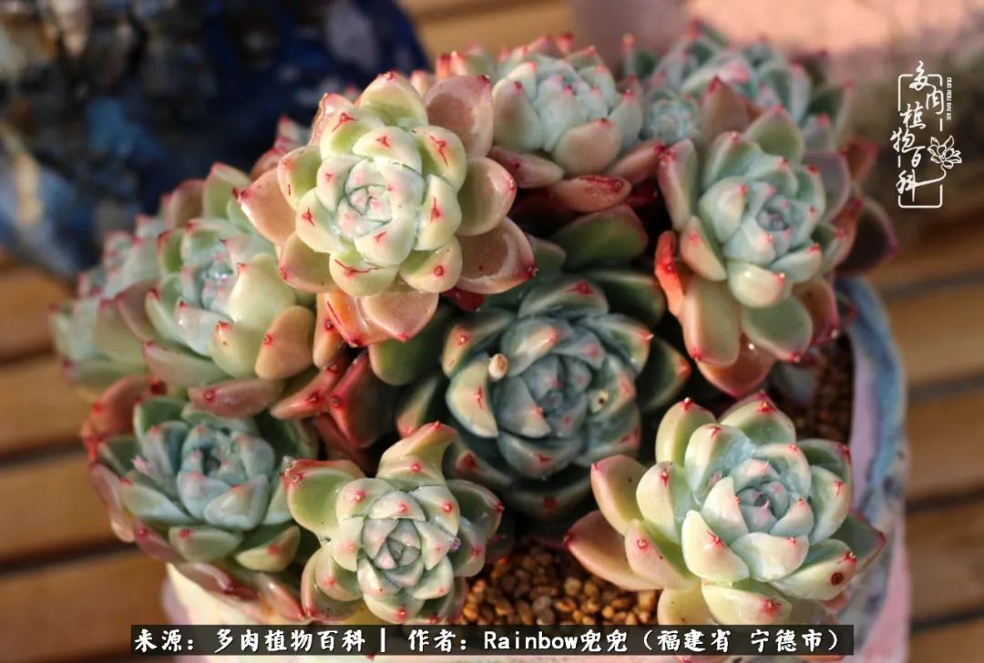 岁月无波澜余生不悲欢是啥意思,愿你岁月无波澜敬我余生无悲欢