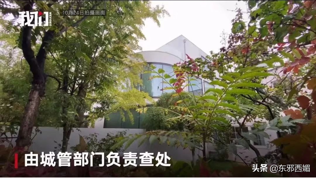 人设崩塌全靠硬撑,人设崩塌还有救吗